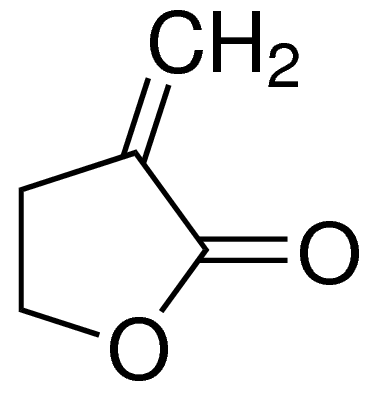 -Methylene--butyrolactone 