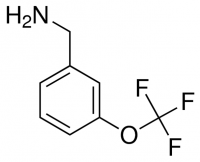 3-(trifluoromethoxy)benzylamine CDS014257-250MG