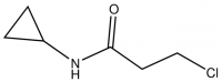 3-Chloro-N-cyclopropylpropanamide CBR00331-1G