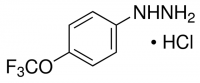 4-(Trifluoromethoxy)phenylhydrazine hydrochloride 366951-1G