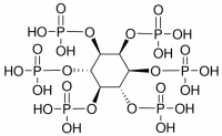 Phytic acid solution 
