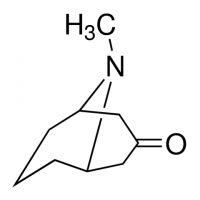 Pseudopelletierine 