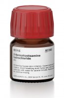 S-Benzylcysteamine hydrochloride 