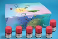 Buchwald Ligands Kit I 659932-1KT