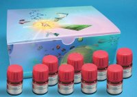 Buchwald Ligands Kit II 687243-1KT