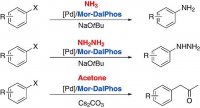 Di(1-adamantyl)-2-dimethylaminophenylphosphine