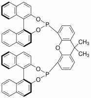 (11bS,11bS)-4,4-(9,9-Dimethyl-9H-xanthene-4,5-diyl)bis-dinaphtho[2,1-d:1,2-f][1,3,2]dioxaphosphepin 