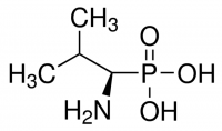 (1R)-(+)-(1-Amino-2-methylpropyl)phosphonic acid 471860-250MG
