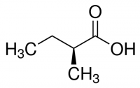 (S)-(+)-2-Methylbutyric acid 