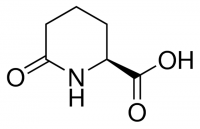 (S)-6-Oxo-2-piperidinecarboxylic acid 