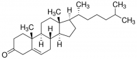 5-Cholesten-3-one 