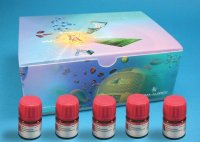MacMillan Imidazolidinone OrganoCatalysts Kit I 674575-1KT