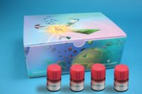 Takasago (R,R)-Ru Diamine Kit I 695319-1KT