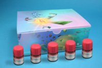 Pd EnCat� Kit I 666335-1KT