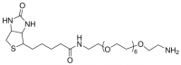 Biotin-dPEG�7-NH2 