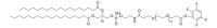 TFP-dPEG �13-DSPE 