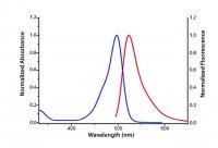 Azide-fluor 488 