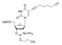 C8-Alkyne-dU-CEP 