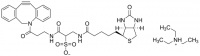 Sulfo-dibenzocyclooctyne-biotin conjugate 760706-5MG
