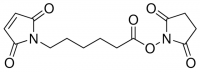 6-Maleimidohexanoic acid N-hydroxysuccinimide ester 568600-500MG