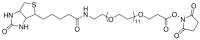 NHS-dPEG�12-biotin 