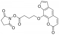 SPB (succinimidyl-[4-(psoralen-8-yloxy)]butyrate) 803545-50MG