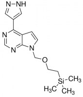 4-(1H-Pyrazol-4-yl)-7-((2-(trimethylsilyl)ethoxy)methyl)-7H-pyrrolo[2,3-d]pyrimidine ADE001297-1G