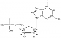2-Deoxyguanosine-13C10,15N5 5-monophosphate disodium salt 