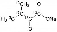 2-Keto-3-methylbutyric acid-13C5 sodium salt 663980-250MG