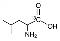 DL-Leucine-1-13C 492418-1G