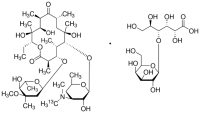 Erythromycin-(N-methyl-13C) lactobionate salt 