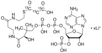 Malonyl-13C3 coenzyme A lithium salt 