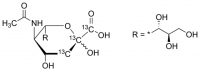 N-Acetyl-D-neuraminic acid-1,2,3-13C3 649694-10MG