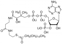 Palmitoyl-1-13C coenzyme A lithium salt 
