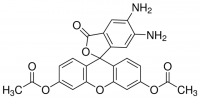 4,5-Diaminofluorescein diacetate 