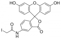 5-(Iodoacetamido)fluorescein 