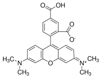 5-Carboxytetramethylrhodamine 
