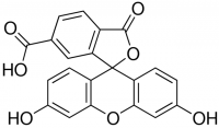 6-Carboxyfluorescein 
