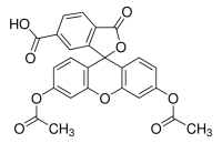 6-Carboxyfluorescein diacetate 