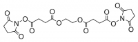 Ethylene glycol-bis(succinic acid N-hydroxysuccinimide ester) 
