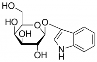 Indoxyl -D-galactopyranoside 