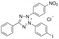 Iodonitrotetrazolium chloride 