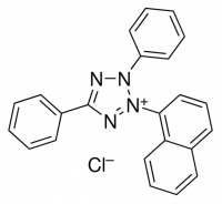 Tetrazolium Violet 