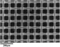 Nylon Net Filter NY0504700