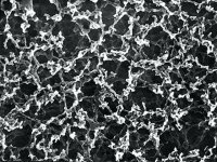 Whatman� nitrocellulose membrane filters WHA10401121