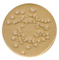 Potato Dextrose Agar 
