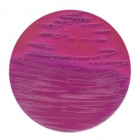VRB (Violet Red Bile Lactose)-MUG agar 