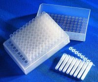 Corning� 8-cap strips for 1.2 mL cluster tubes and cluster tube strips CLS4418-120EA