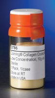 Corning� microcarriers CLS3786-1EA