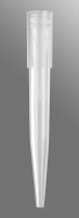 Pipette tips, wide bore AXYT1005WBC